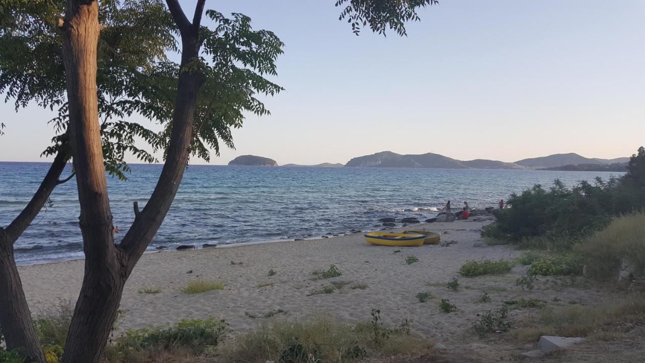 Apartments Bela PalaiónTsiflíkion Dış mekan fotoğraf